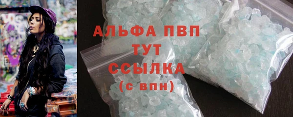 apvp Алзамай