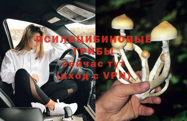 apvp Алзамай